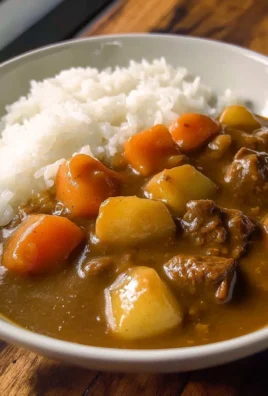 Japanese Curry on Rice