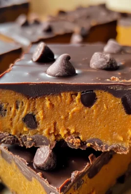 Pumpkin Chocolate Chip Protein Bars (Vegan)