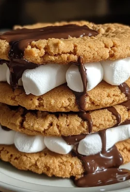 Peanut Butter S’mores Sandwich Cookies
